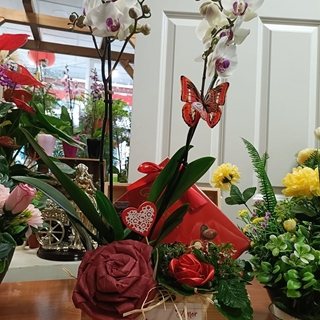 Baúl De Recuerdos - Imagen 1