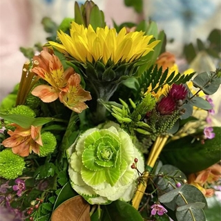 Belleza Tropical - Imagen 1