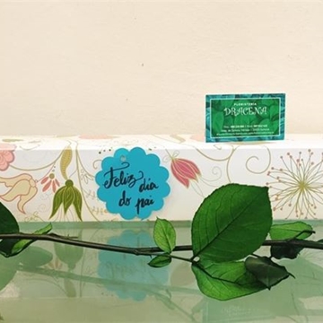 Caja con Rosa Preservada - Imagen 1