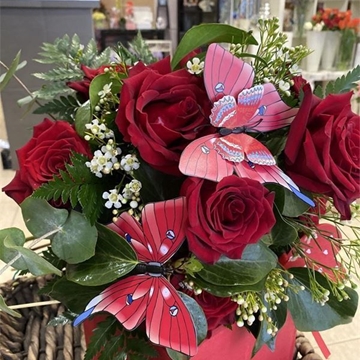 Caja Encanto - Imagen 1