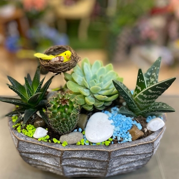 cantar de pajarillo 2 - Imagen 1