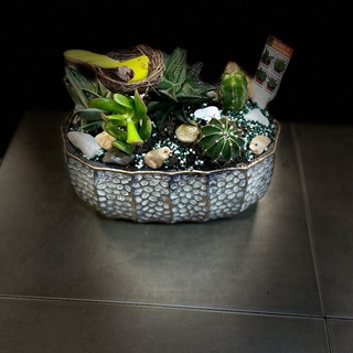 cantar de pajarillo 3 - Imagen 1