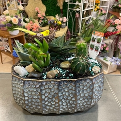 cantar de pajarillo 3 - Imagen 2