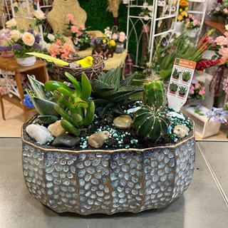 cantar de pajarillo 3 - Imagen 2