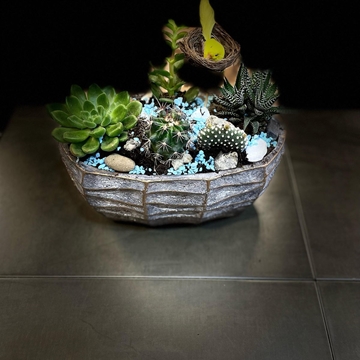 Cantar de pajarillo 4 - Imagen 1