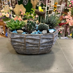 Cantar de pajarillo 4 - Imagen 2