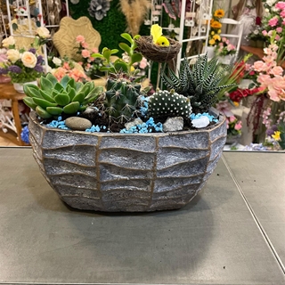 Cantar de pajarillo 4 - Imagen 2