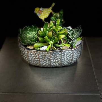 Cantar de pajarillo 5 - Imagen 1