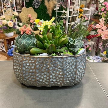 Cantar de pajarillo 5 - Imagen 2