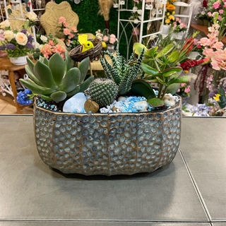 cantar de pajarillo 6 - Imagen 1