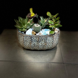 cantar de pajarillo 6 - Imagen 2