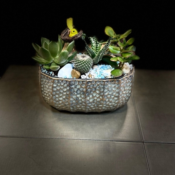 cantar de pajarillo 6 - Imagen 2