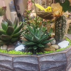 Cantar de Pajarillo - Imagen 1