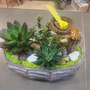 Cantar de Pajarillo - Imagen 2