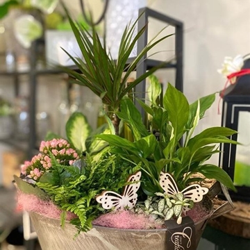 Composición oval2 - Imagen 1