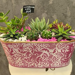 Composición oval - Imagen 1