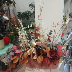 Composición Preservada Otoñal - Imagen 2