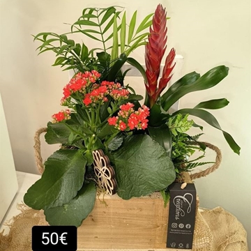 Composición "Más madera" - Imagen 1