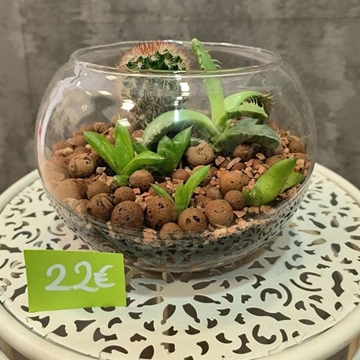 Composición "Pecera 1" - Imagen 1