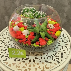 Composición "Pecera 2" - Imagen 1