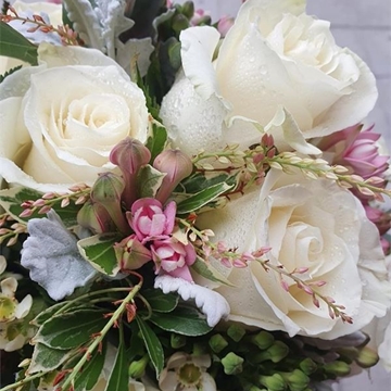 Eterna Inocencia - Imagen 1