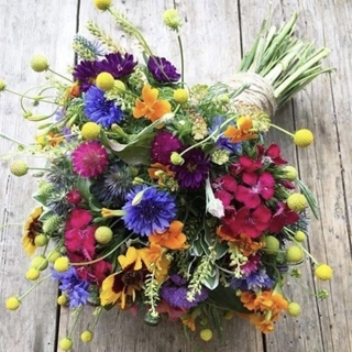 Fantasía de Color - Imagen 1