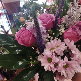 Lavanda enamorada - Imagen 1