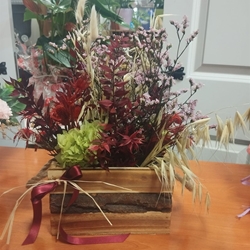 Otoño Florecido - Imagen 1