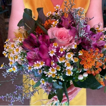 Ramo Aínsa - Imagen 1