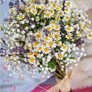 Ramo En Calma - Imagen 1