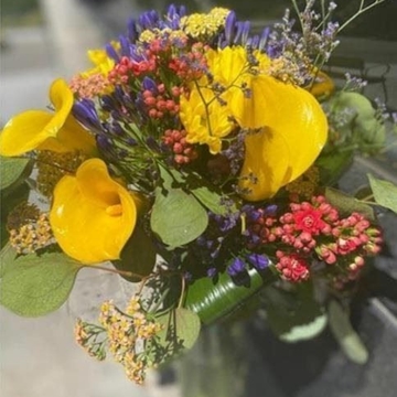 Ramo Vernazza - Imagen 1