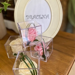 Rosa eterna - Imagen 1