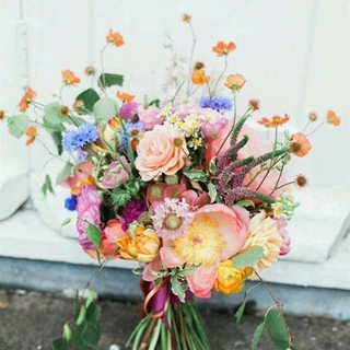 Suave Alegria - Imagen 1