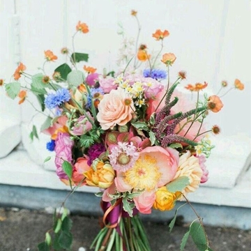 Suave Alegria - Imagen 1