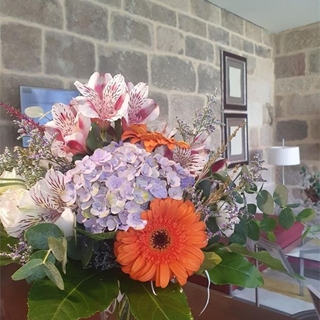 Verano Vital - Imagen 1