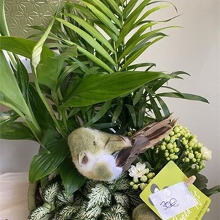 Verde Primavera - Imagen 1